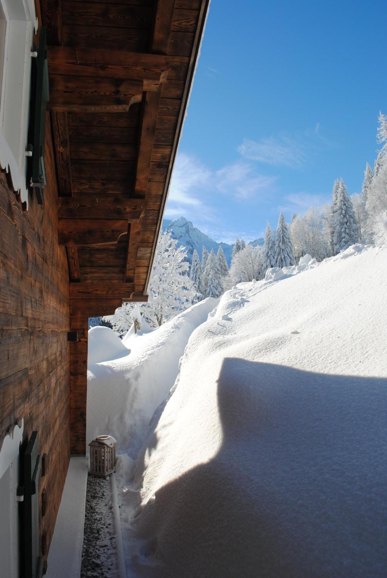 Alpenchalet Piz Huesli 查贡斯 外观 照片