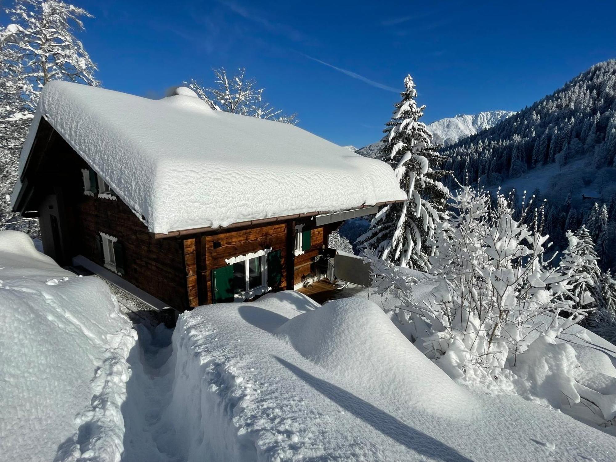 Alpenchalet Piz Huesli 查贡斯 外观 照片