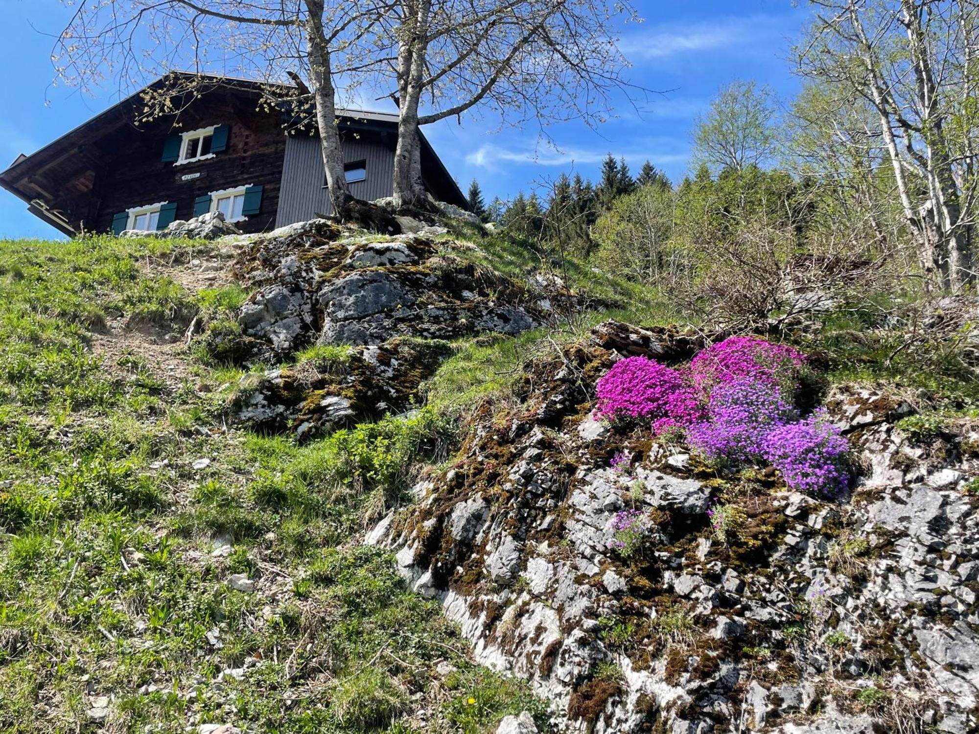 Alpenchalet Piz Huesli 查贡斯 外观 照片